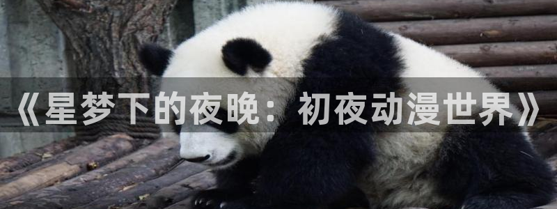 78动漫18：《星梦下的夜晚：初夜动漫世界》